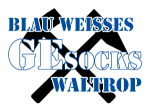 Blau Weißes GEsocks Waltrop